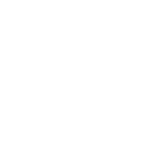 san-martin-logo